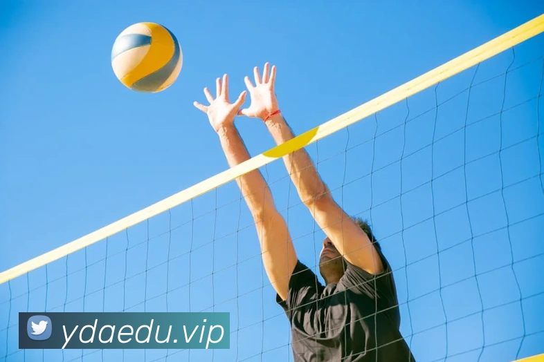 新半岛官网APP 高清赛事图